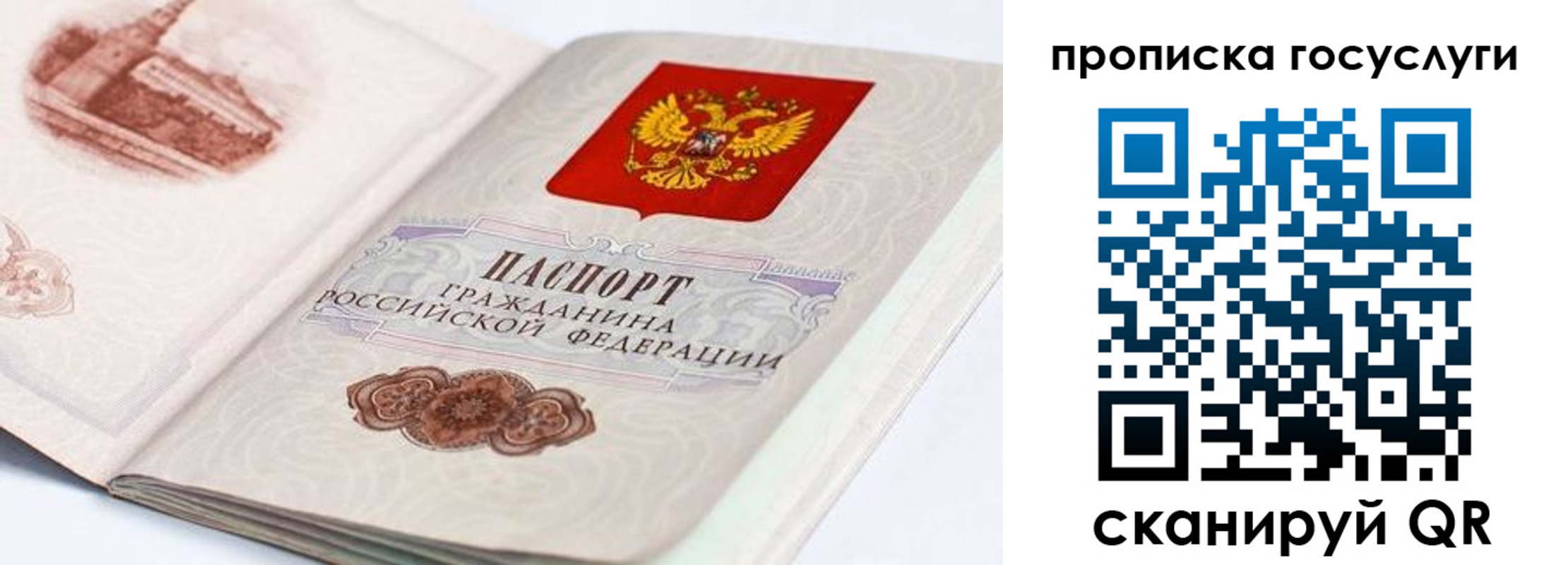 прописка гарантия в Благовещенске